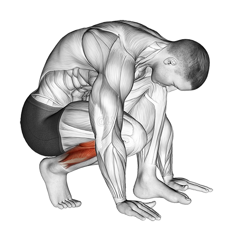 Thumbnail for the video of exercise: Squatting Toe Stretch