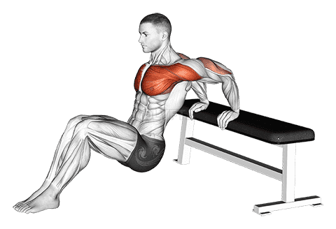 Thumbnail for the video of exercise: Sitting Shoulders Stretch On Bench