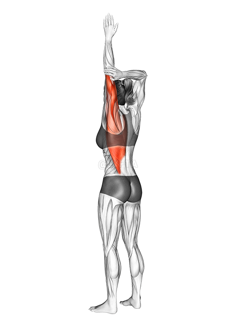 Thumbnail for the video of exercise: Ardaitheoir Gualainn Adductor Agus Síneadh uillinntomhas