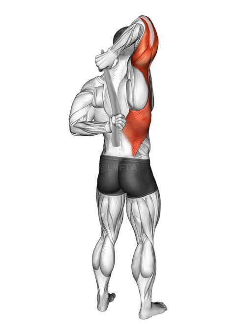 Thumbnail for the video of exercise: Shoulder Stretch With Towel Behind The Back