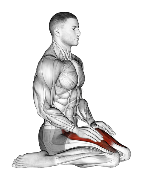 Thumbnail for the video of exercise: Seated Quadriceps Stretch