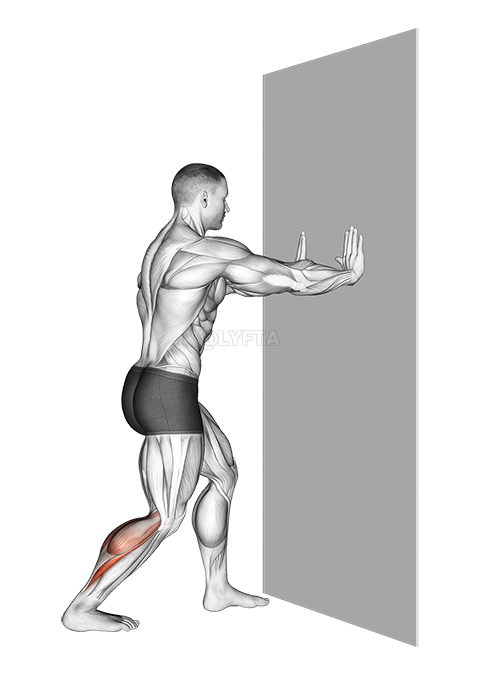 Thumbnail for the video of exercise: Leaning Heel Back Achilles Stretch