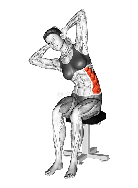 Thumbnail for the video of exercise: Seated Lower Trunk Lateral Flexor Stretch