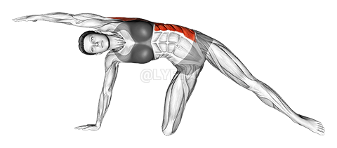 Thumbnail for the video of exercise: Lateral Bend On Floor By Kneeing