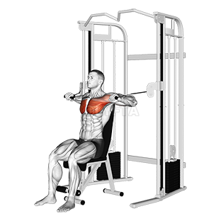 Thumbnail for the video of exercise: Cable Seated Chest Press