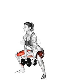 Thumbnail for the video of exercise: Dumbbells Sumo Squat