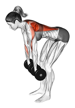 Thumbnail for the video of exercise: Dumbbell Pronated to Neutral Grip Row