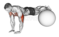 Thumbnail for the video of exercise: Narrow Push-Up on Exercise Ball