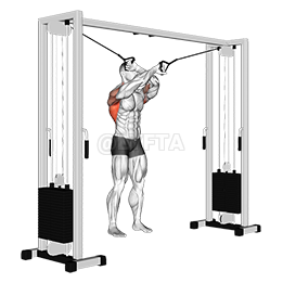 Thumbnail for the video of exercise: Cable Lat Pulldown მოძრაობის სრული დიაპაზონი