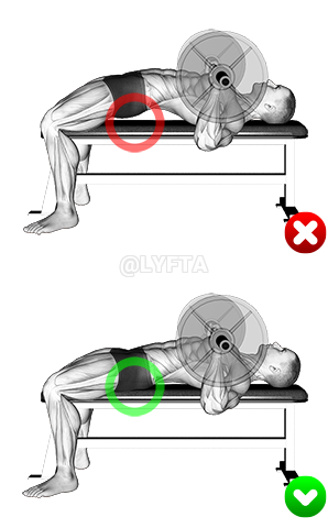 Thumbnail for the video of exercise: Chest Bench Press - Butt