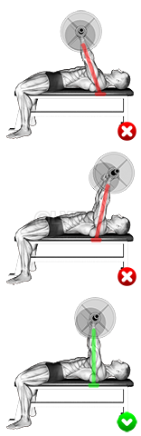 Thumbnail for the video of exercise: Chest Bench Press - Arms