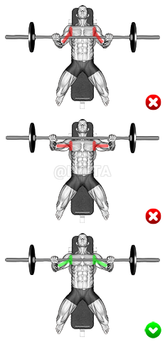 Thumbnail for the video of exercise: Chest Bench Press - Elbows