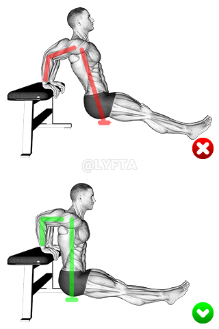 Thumbnail for the video of exercise: Отжимания на скамье — руки на спине