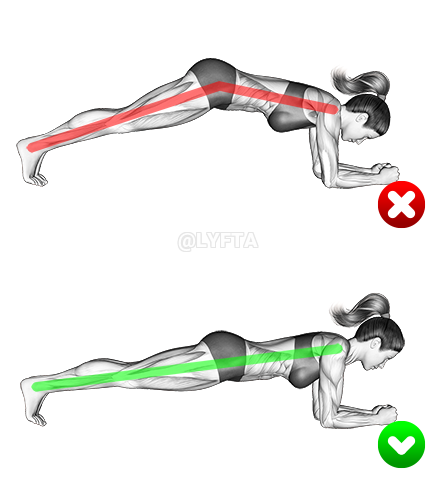 Thumbnail for the video of exercise: Front Plank - Butt