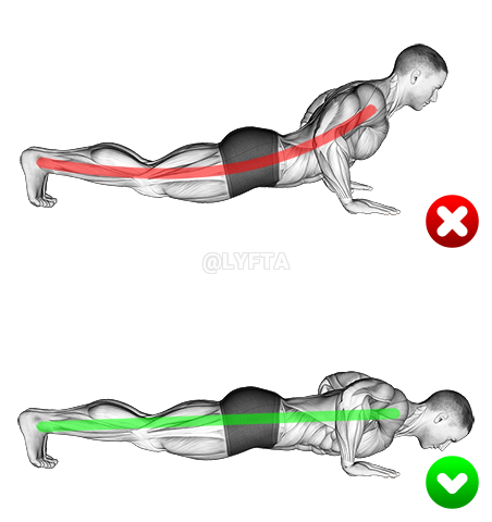 Thumbnail for the video of exercise: Push-up - End position
