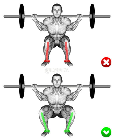 Thumbnail for the video of exercise: Barbell Squat - Knieë - Eindposisie