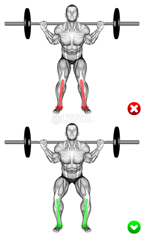 Thumbnail for the video of exercise: Barbell Squat - Knees - Middle position