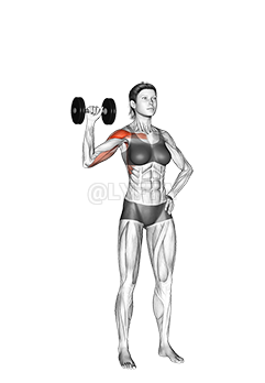Thumbnail for the video of exercise: Dumbbell One Arm Shoulder Press
