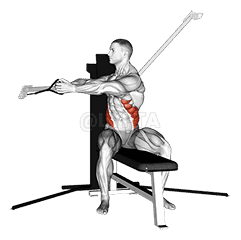 Thumbnail for the video of exercise: Cable Seated Twist