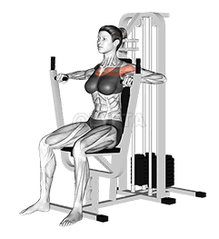 Thumbnail for the video of exercise: Lever Chest Press