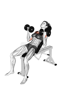 Thumbnail for the video of exercise: Dumbbell Incline Palm in Press