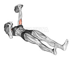 Thumbnail for the video of exercise: Kettlebell Alternating Press on Floor