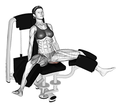 Thumbnail for the video of exercise: Lever Seated Hip Adduction