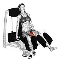 Thumbnail for the video of exercise: Lever Seated Hip Abduction