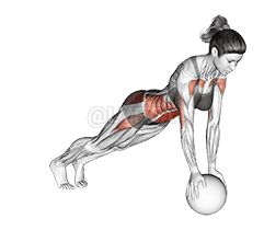 Thumbnail for the video of exercise: Jack Plank on Medicine Ball