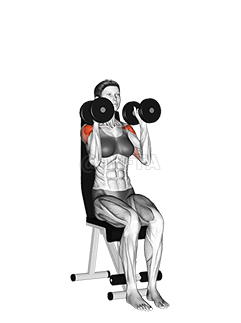 Thumbnail for the video of exercise: Dumbbell Seated Shoulder Press