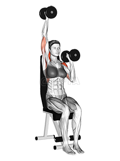 Thumbnail for the video of exercise: Dumbbell Seated Alternate Press