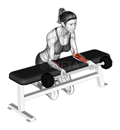 Thumbnail for the video of exercise: Barbell Palms Up Wrist Curl Over A Bench