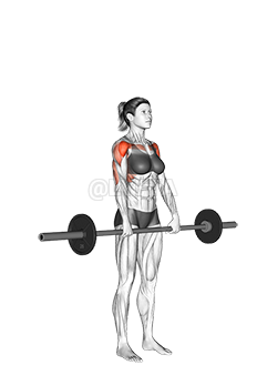 Thumbnail for the video of exercise: Barbell Standing Front Raise Over Head