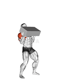 Thumbnail for the video of exercise: StrongMan Iron Block Press