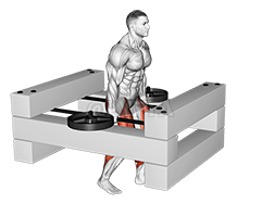 Thumbnail for the video of exercise: StrongMan Timber Carry