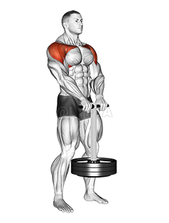 Thumbnail for the video of exercise: StrongMan Front Hold