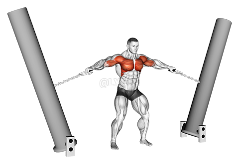 Thumbnail for the video of exercise: StrongMan Hercules Hold