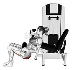 Thumbnail for the video of exercise: Lever Hip Thrust
