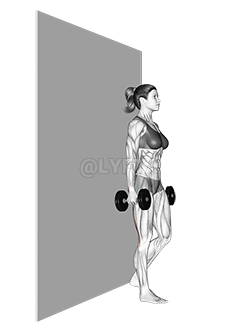 Thumbnail for the video of exercise: Dumbbell Single Leg Deadlift with Wall Support