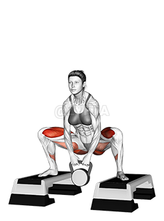 Elevated kettlebell sumo squat sale