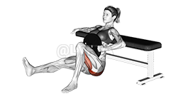 Thumbnail for the video of exercise: Weighted Hip Thrusts
