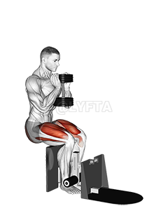 Thumbnail for the video of exercise: Dumbbell Supported Squat
