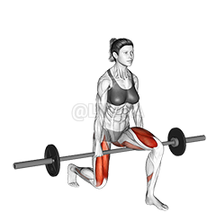 Thumbnail for the video of exercise: Barbell Split Squat