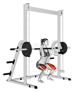 Thumbnail for the video of exercise: Smith Front Squat