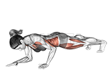 Thumbnail for the video of exercise: Front Plank to Push up