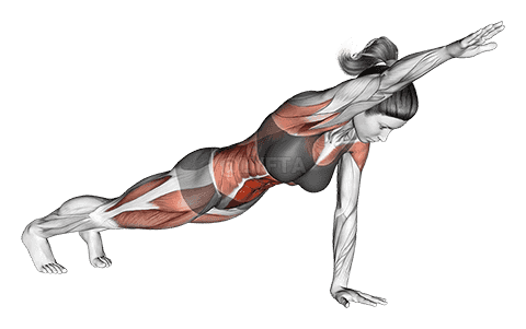 Thumbnail for the video of exercise: Front Plank with Arm Lift