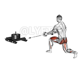 Thumbnail for the video of exercise: Power Sled Rear Lunge Row