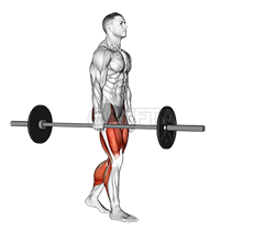 Thumbnail for the video of exercise: Barbell Koffer Dra