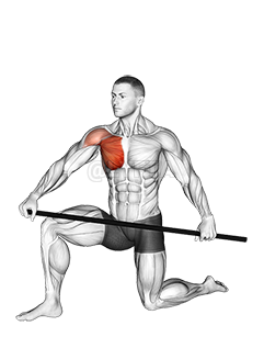 Thumbnail for the video of exercise: Half Kneeling PVC Pec Mobilization Stretch