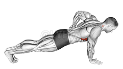 Thumbnail for the video of exercise: Single Arm Scapula Push up